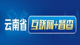 云南省“互联网+督查”