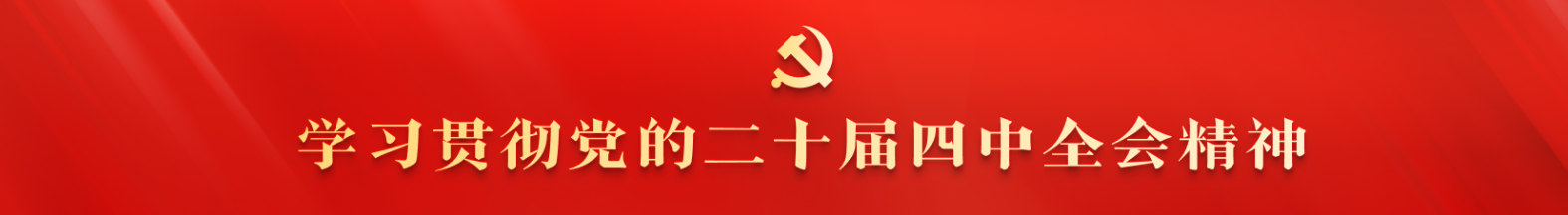 学习贯彻党的二十届四中全会